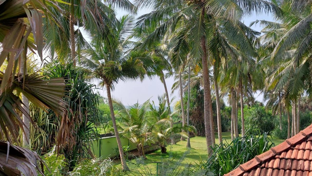 Bandulas Beach House 希克杜沃 外观 照片